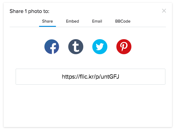 url shortening services flickr