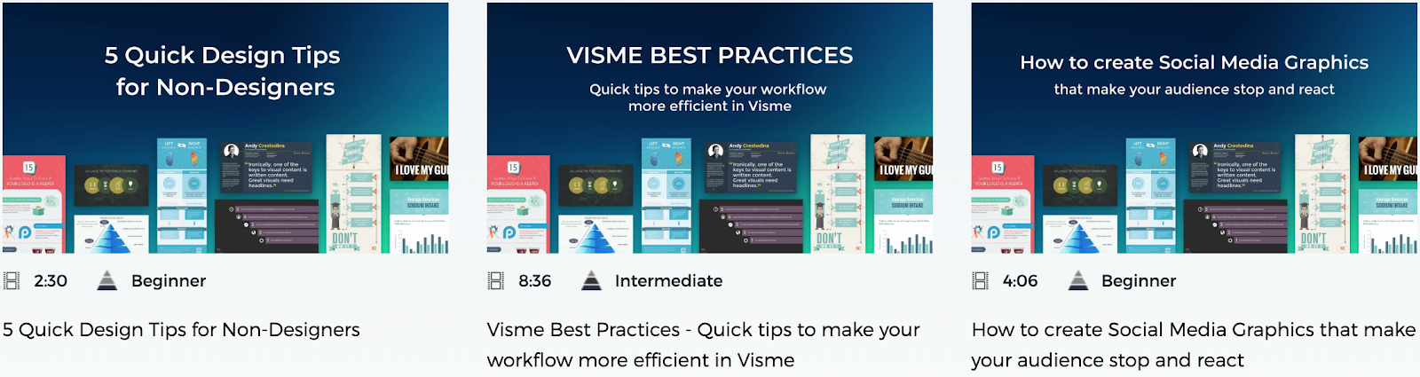visme best practices